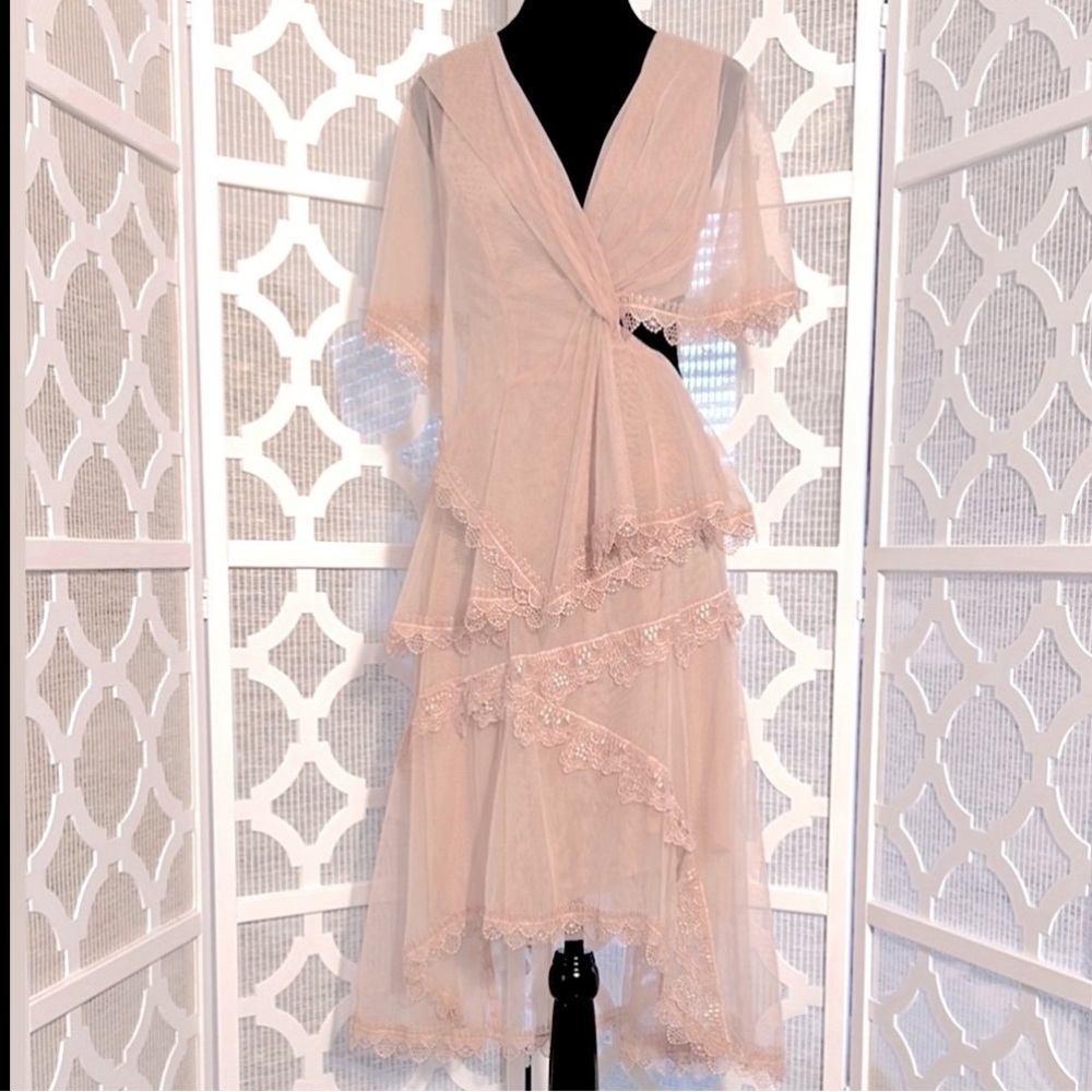 BCBGMaxAzria Asymmetrical Lace Dress in Blush Pink